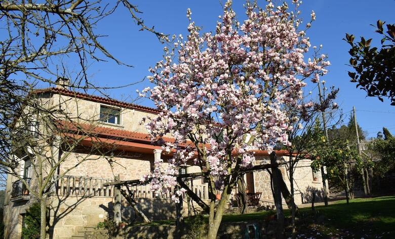 Casa Rural Os Carballos