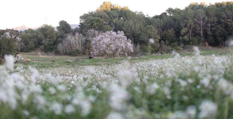 Hotel Masia Can Rovira