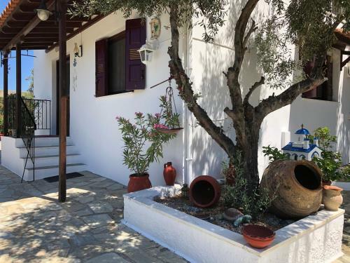 Apartamento Xanemos Villa