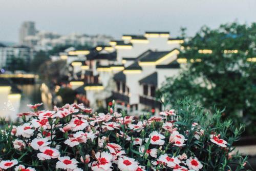 Fuzimiao International Youth Hostel