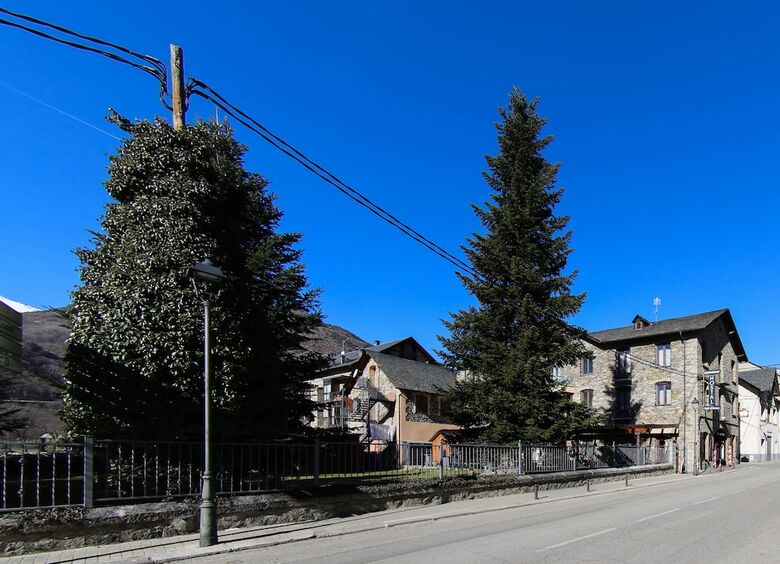 Pension Hostal Vall D'aneu