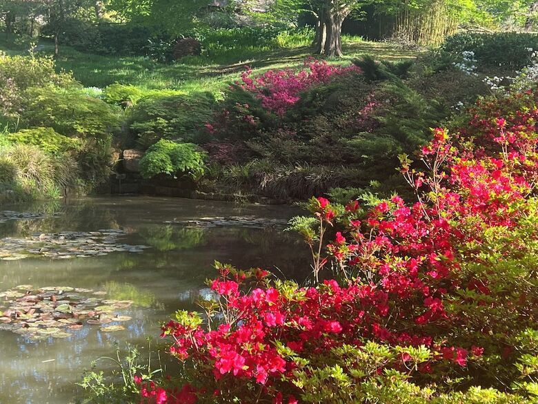 Finca La Pe�iga