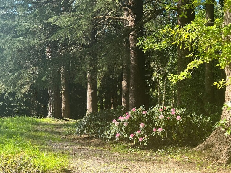 Finca La Pe�iga