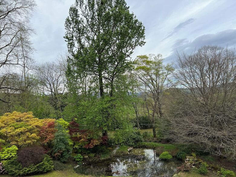 Finca La Pe�iga
