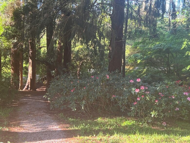 Finca La Pe�iga