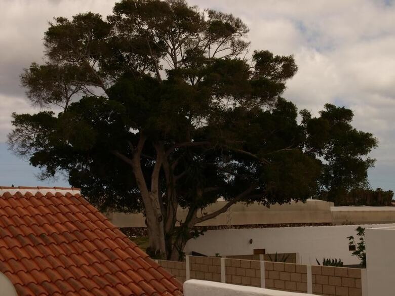 Hostal Albergue Rural La Ca�ada