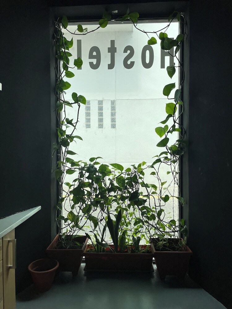 Hostal Seville Your Way Hostel