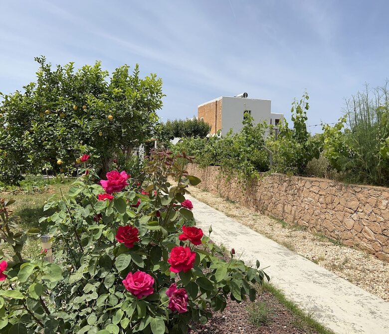 Finca Can Pepis