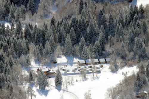 Camping & Chalet Presanella