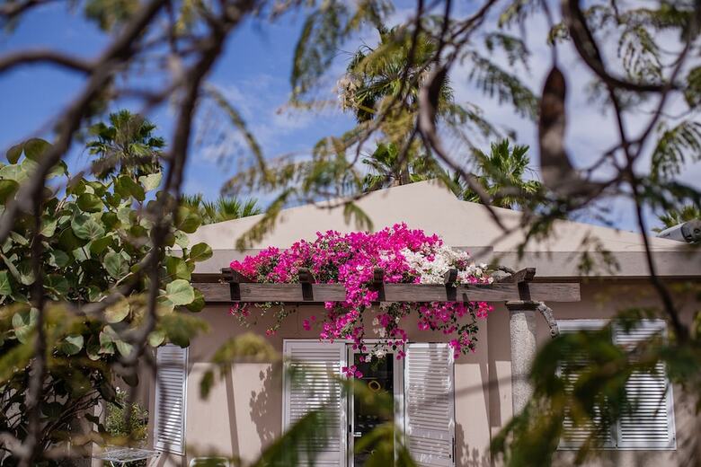 Hotel Caybeach Princess