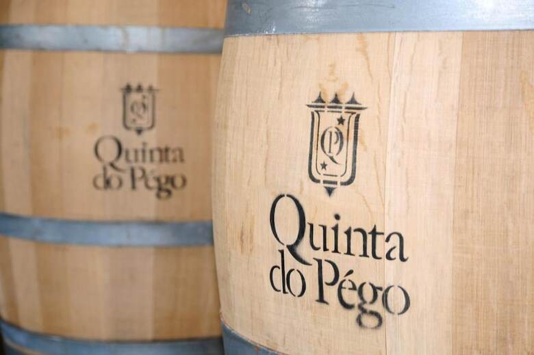 Hotel Quinta Do Pego