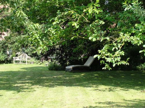 B&B Hedera
