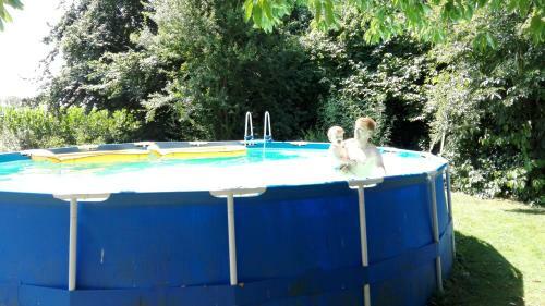 B&B Hedera