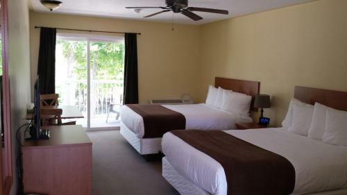 Escarpment Heights Motel