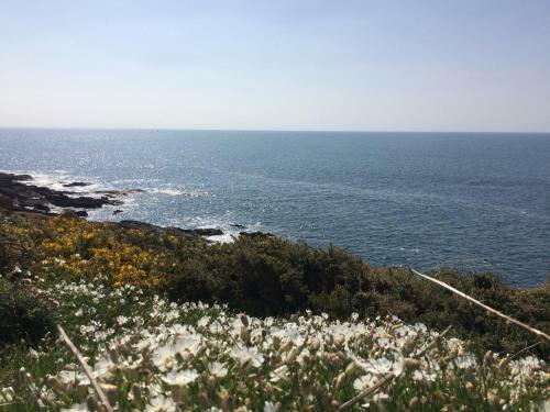 Bed & Breakfast La Belle Relax