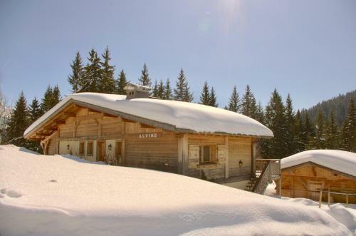 Chalet Alvine