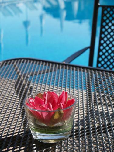 Hotel Le Mas Bellevue