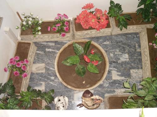 Bed & Breakfast Florinda