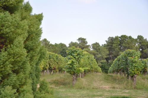 Bed & Breakfast Domaine De Paguy
