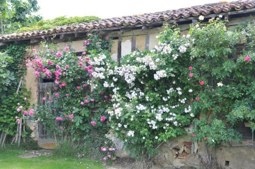 Bed & Breakfast Domaine De Paguy