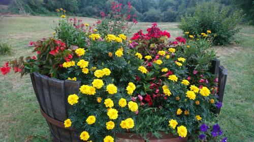 Bed & Breakfast Domaine De Paguy