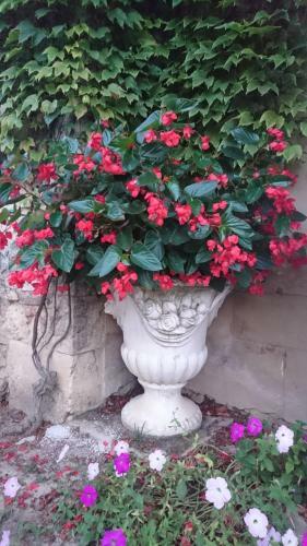 Bed & Breakfast Domaine De Paguy