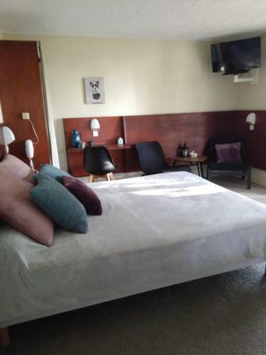 Hotel Papea