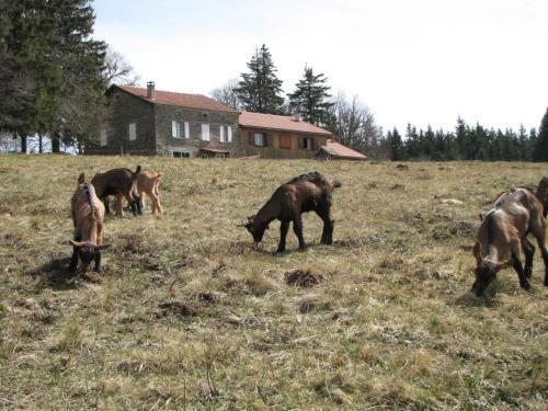 Gite Du Domaine Du Mas Du Taillet