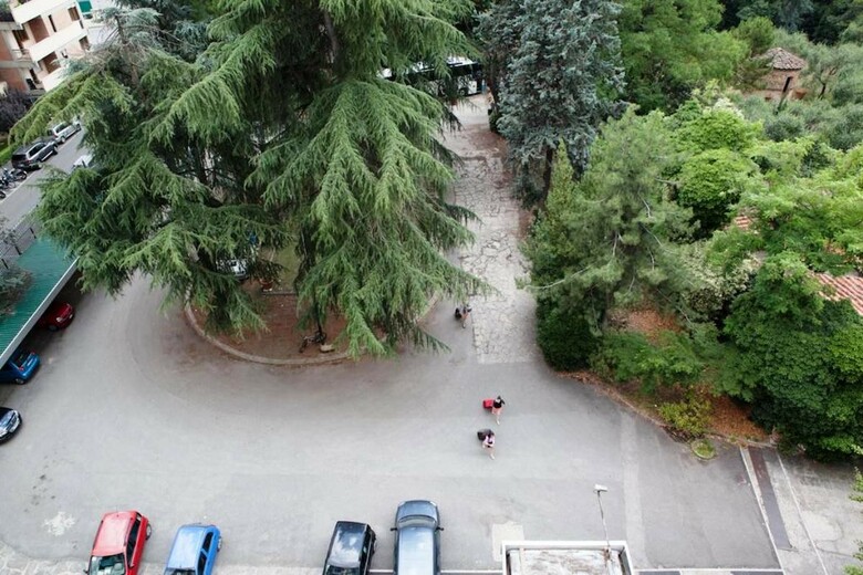 Hotel Auto Park