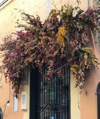 Ti Vengo A Cercare Bed & Breakfast