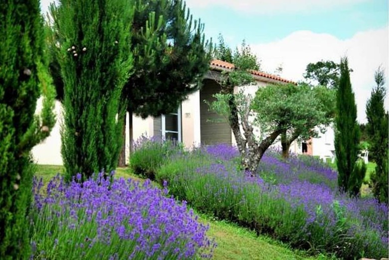 Hotel Olydea Les Epesses