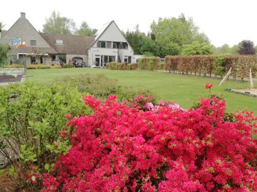 B&B Hakuna Matata