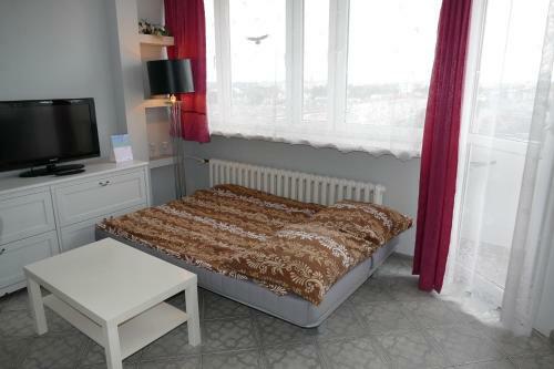Apartamenty Olimp