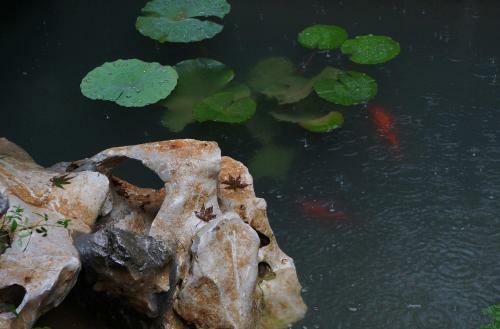 Xiao Yuaner Bed And Breakfast