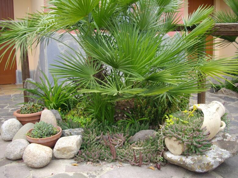 Agroturismo Is Concais
