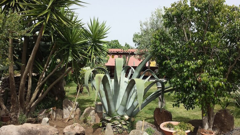 Agroturismo Is Concais