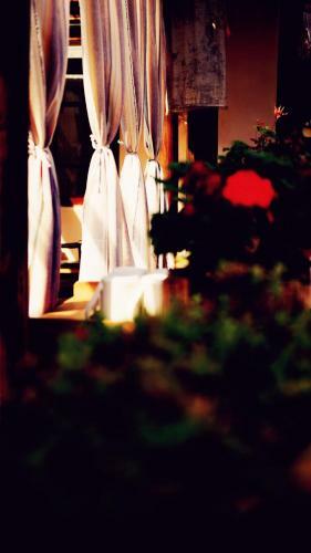 Hostal Shaxi Miss May Hotel