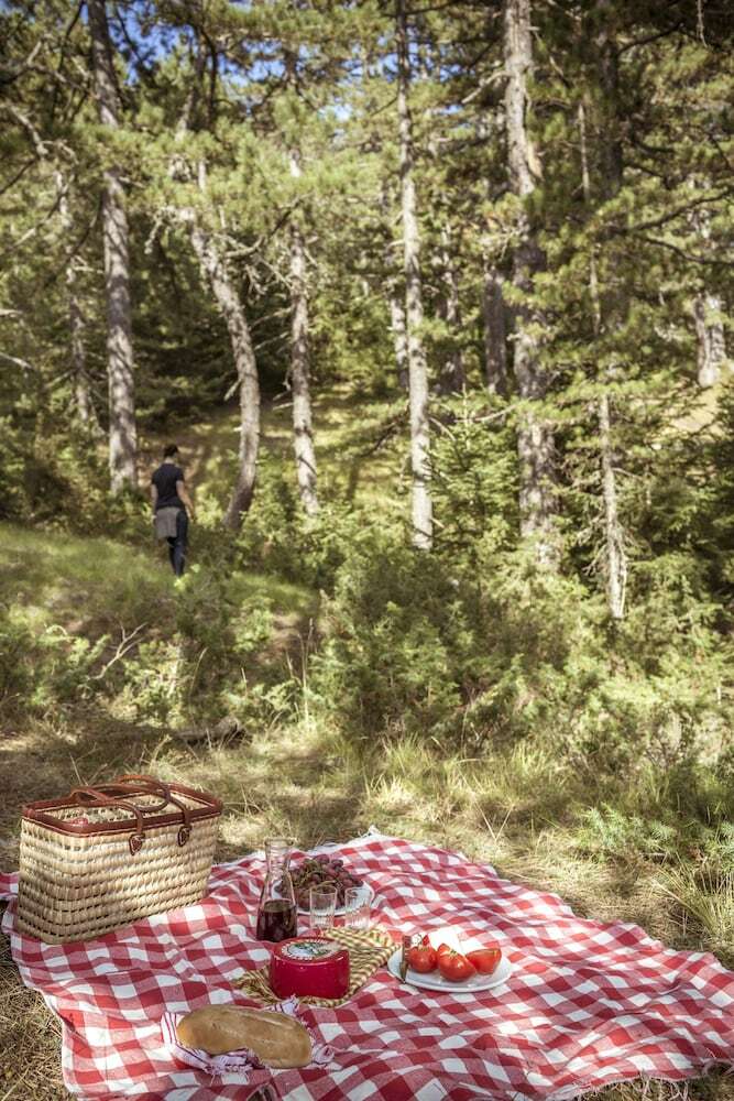 Hotel Grand Forest Metsovo