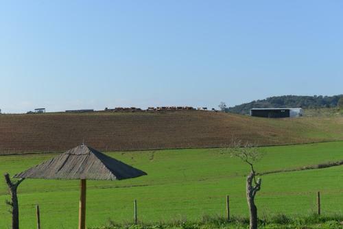 Agroturismo Herdade Dos Montes Bastos