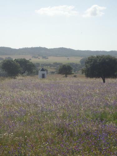 Agroturismo Herdade Dos Montes Bastos
