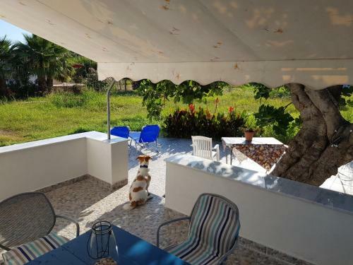 Apartamento Eleni B&B