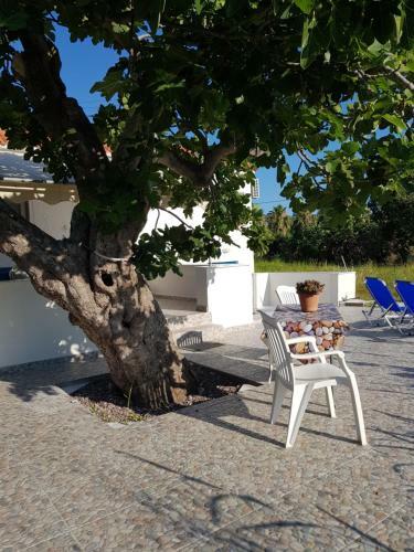 Apartamento Eleni B&B