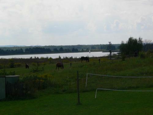 Hostal Kalski Dworek
