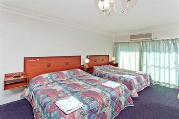 Blue Cattle Dog Hotel