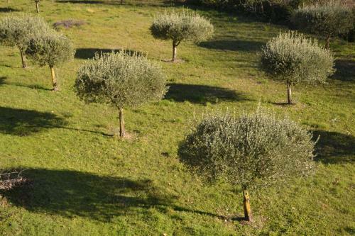 Hotel H�tel Le Saint-geni�s