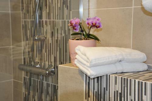 Hotel H�tel De La Baie De Paimpol