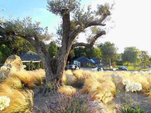 Hotel H�tel De La Baie De Paimpol