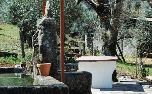 Hostal Quinta Do Vaqueirinho - Agro-turismo