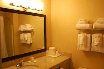 Hotel Holiday Inn Express Ludlow