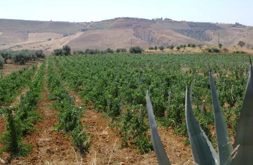 Agroturismo Antica Tenuta Del Nanfro